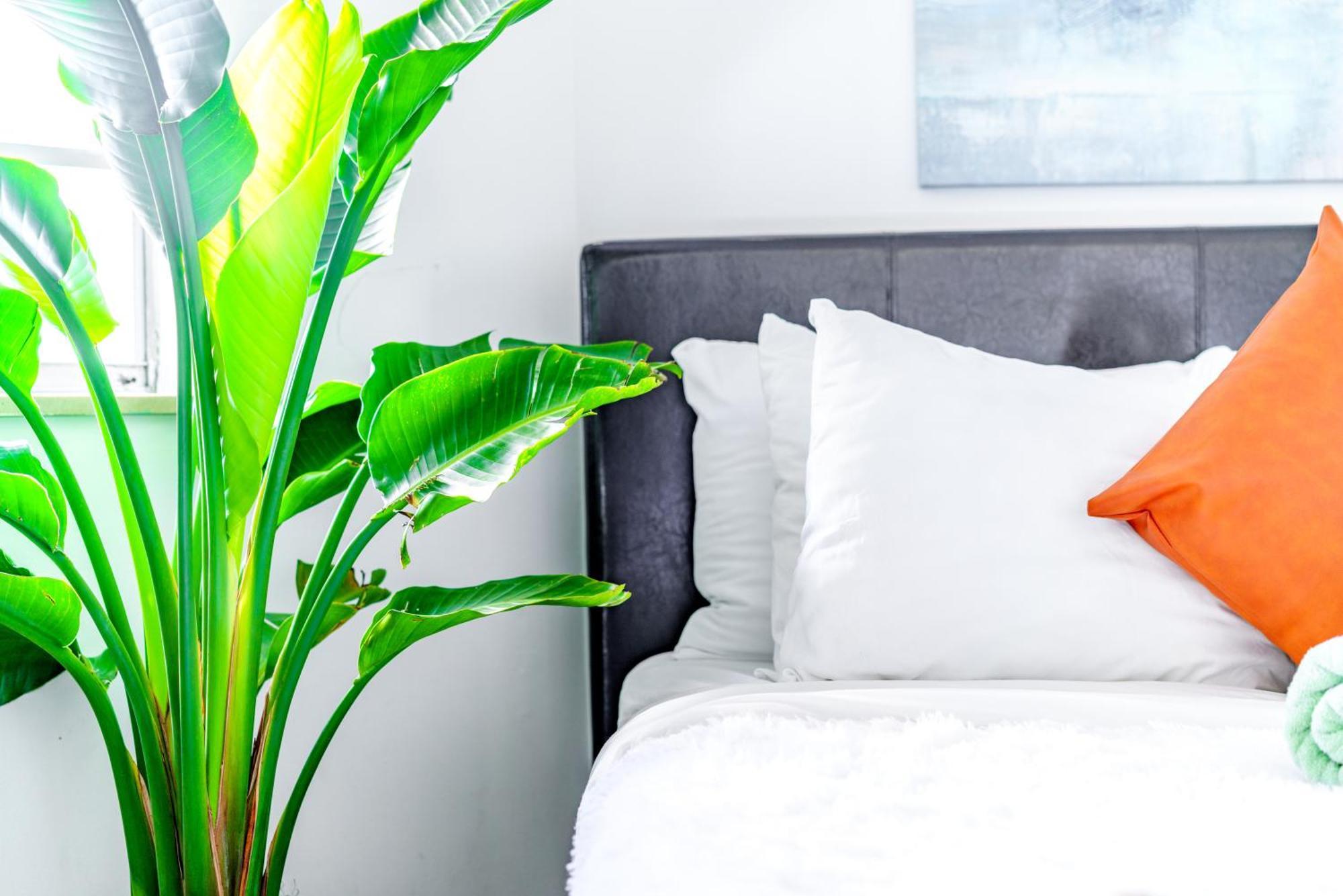 Apartment Short North Convention Private Parking Pets *